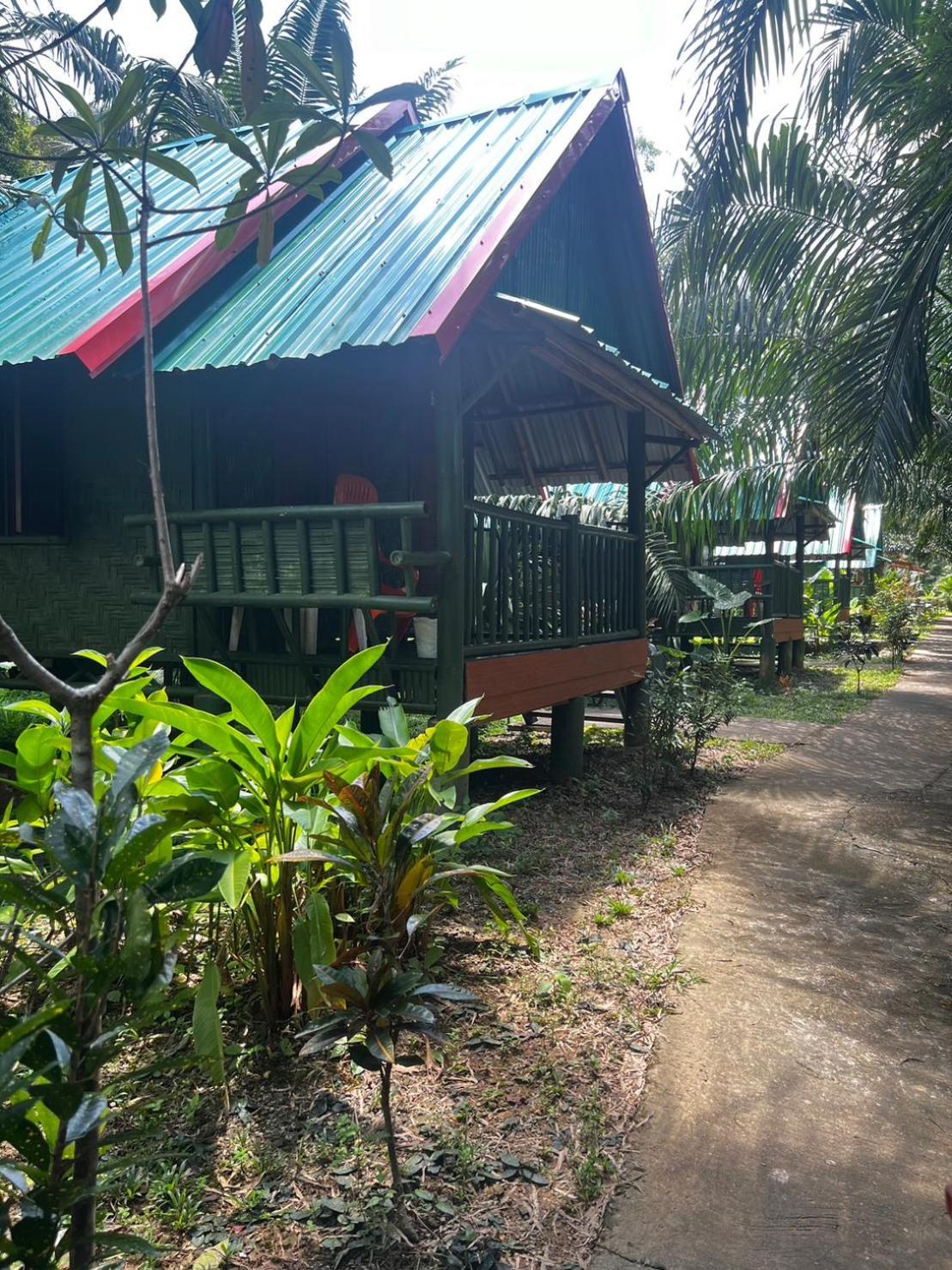 Khaosok Bamboo Huts Resort Khao Sok National Park Exterior foto