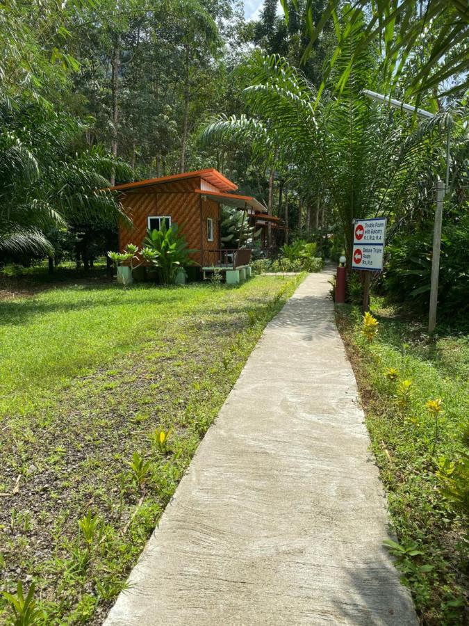 Khaosok Bamboo Huts Resort Khao Sok National Park Exterior foto